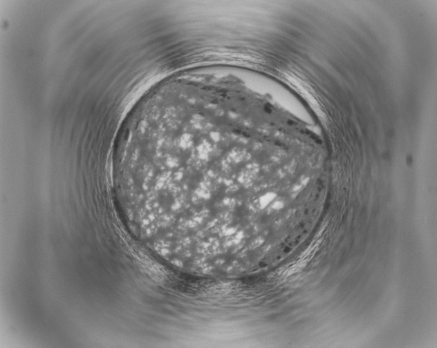 X0000087020891200705071507