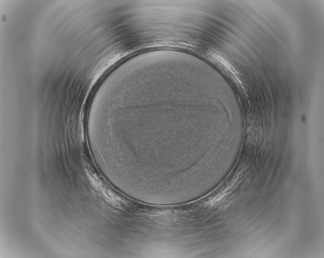 X0000087020892200705071507