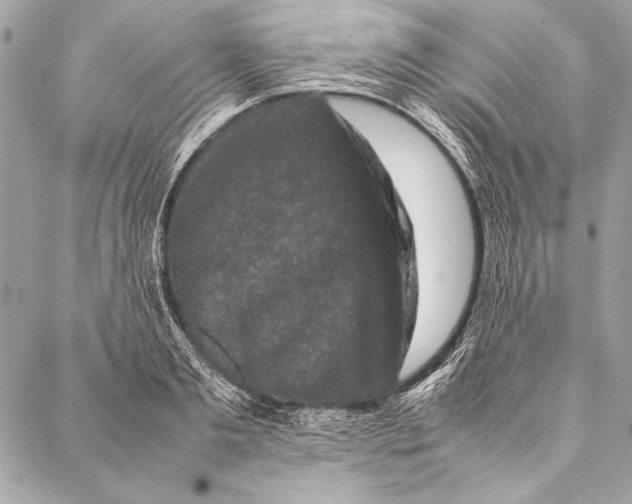 X0000087020893200705071507