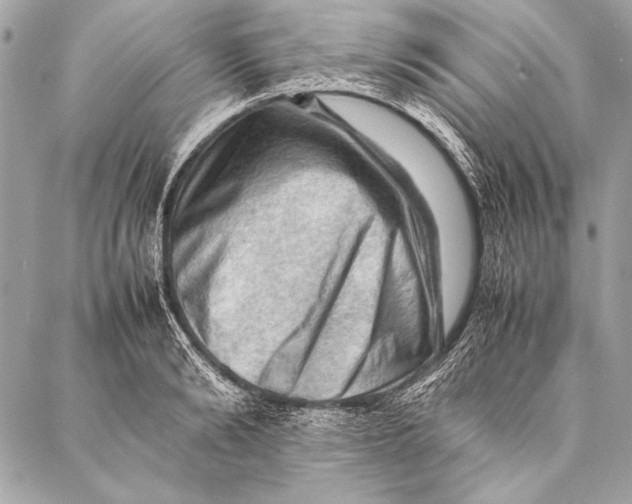 X0000087020894200705071507