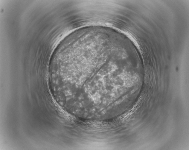 X0000087020895200705071507