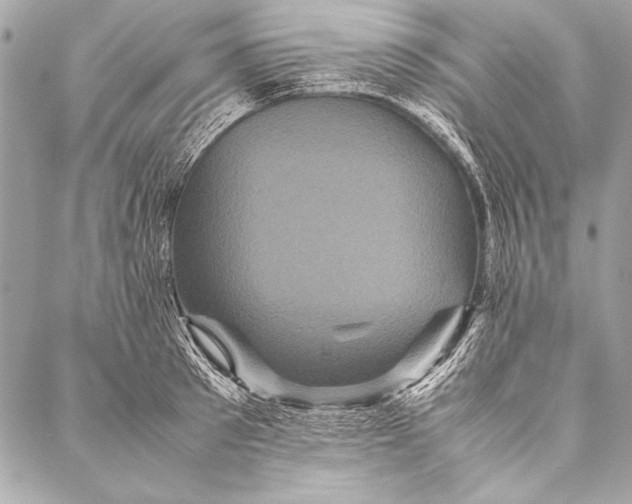 X0000087020897200705071507