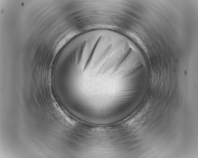 X0000087020898200705071507