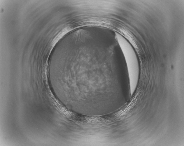 X0000087020899200705071507