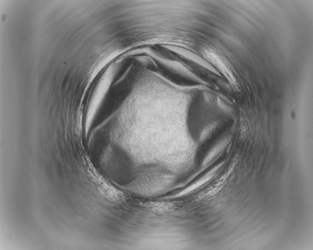 X0000087020900200705071507