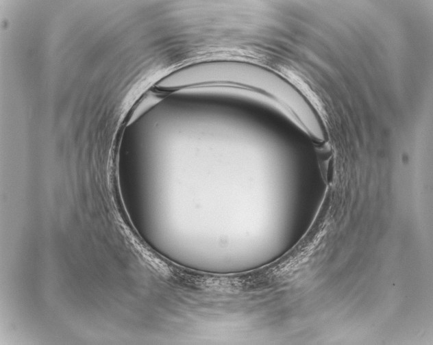 X0000087020901200705071506