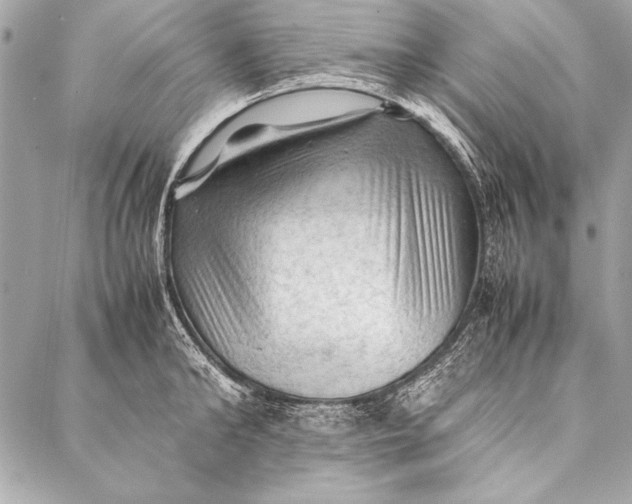 X0000087020902200705071506