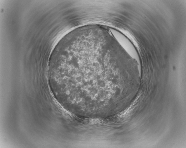 X0000087020903200705071506