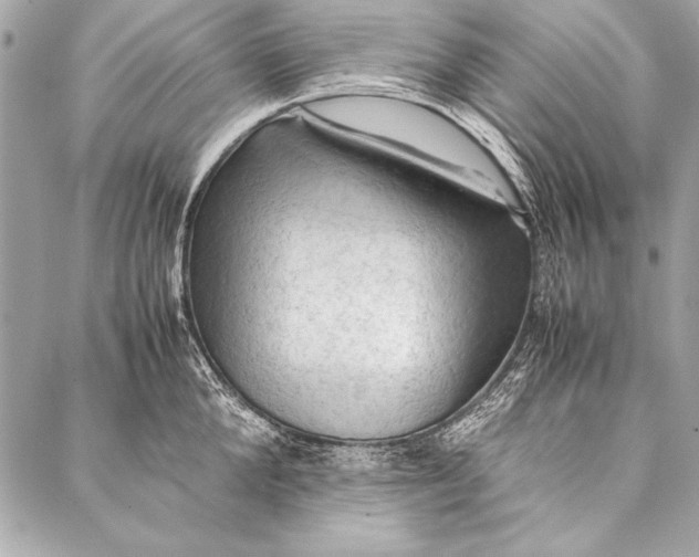 X0000087020904200705071506