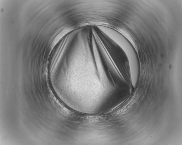 X0000087020906200705071506