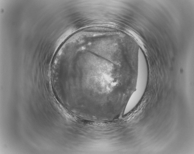 X0000087020907200705071506