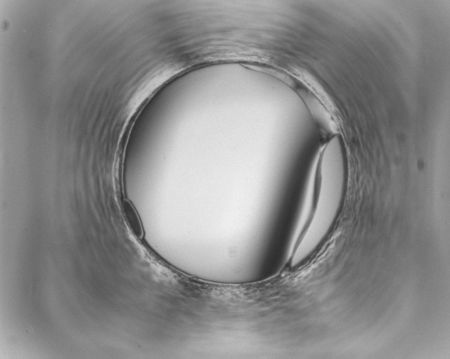 X0000087020909200705071506