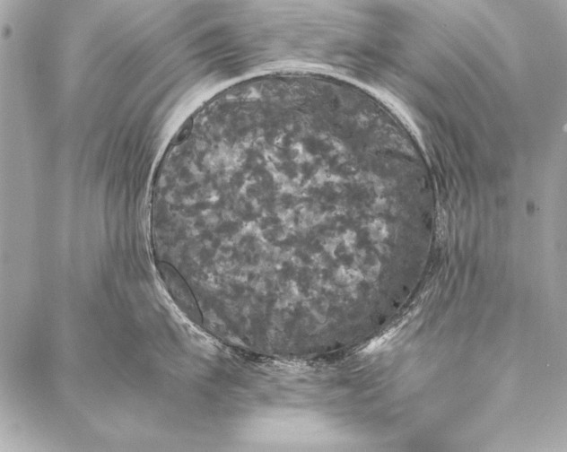 X0000087020911200705071506