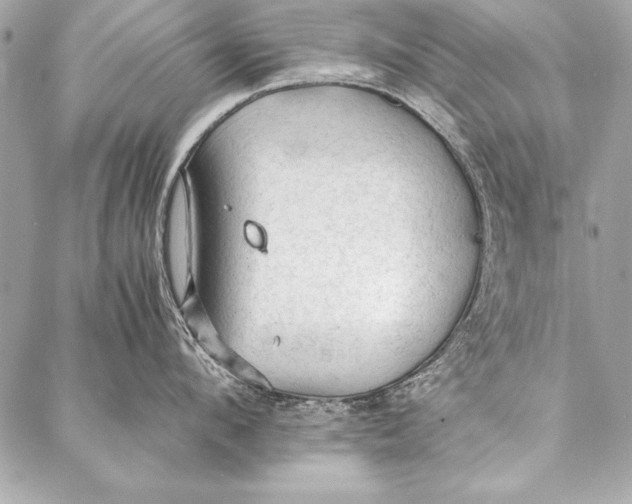 X0000087020912200705071506