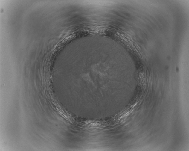 X0000087020913200705071506