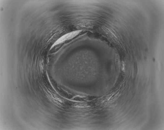 X0000087020915200705071506