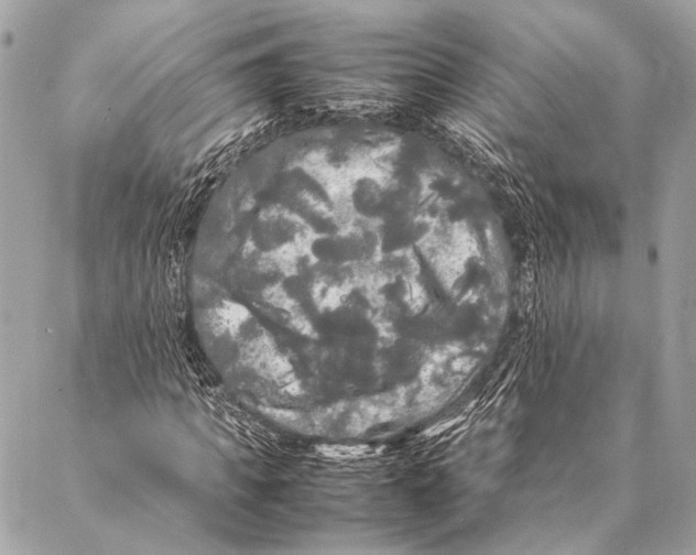 X0000087020917200705071506