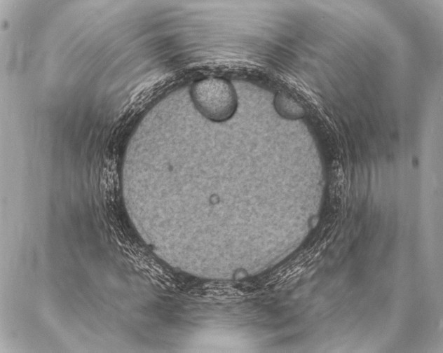 X0000087020918200705071506