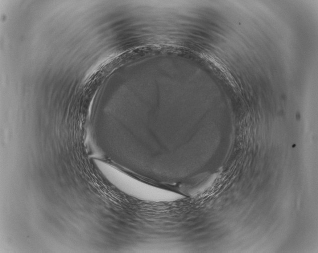 X0000087020919200705071506