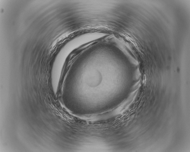 X0000087020920200705071506