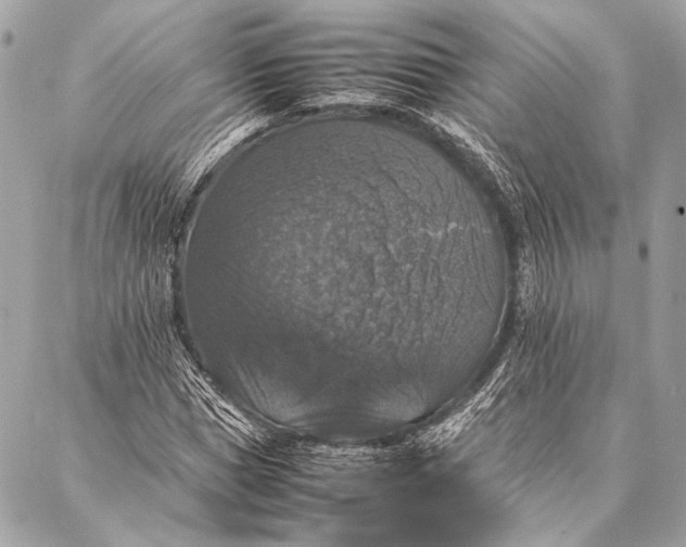 X0000087020921200705071506