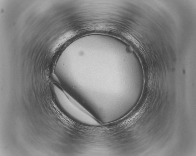 X0000087020922200705071506