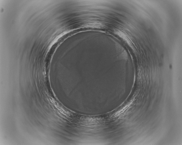 X0000087020923200705071506