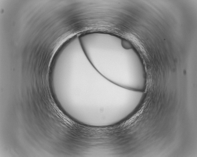 X0000087020924200705071506