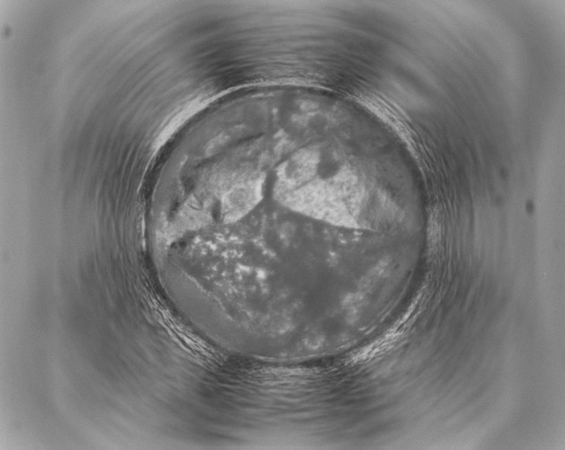 X0000087020925200705071506