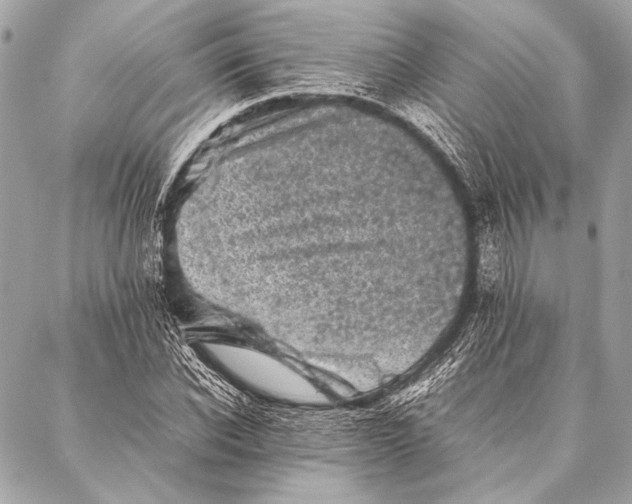 X0000087020926200705071506