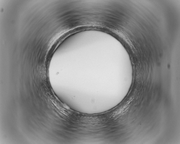 X0000087020927200705071506