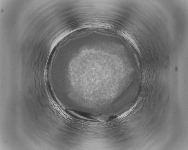 X0000087020928200705071506