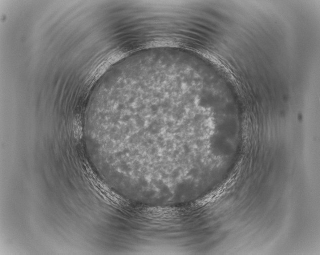 X0000087020929200705071506