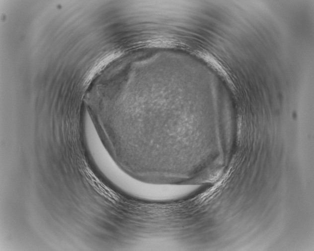 X0000087020930200705071506