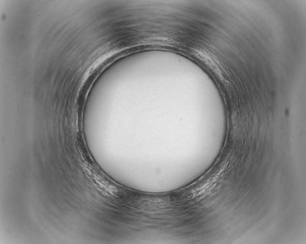 X0000087020931200705071506