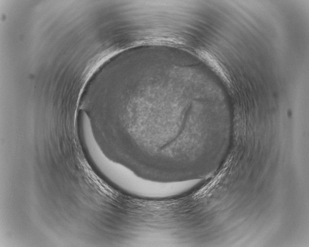 X0000087020932200705071506