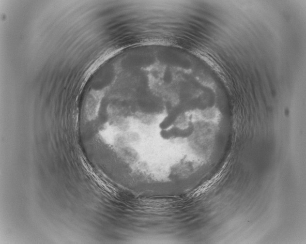 X0000087020933200705071506