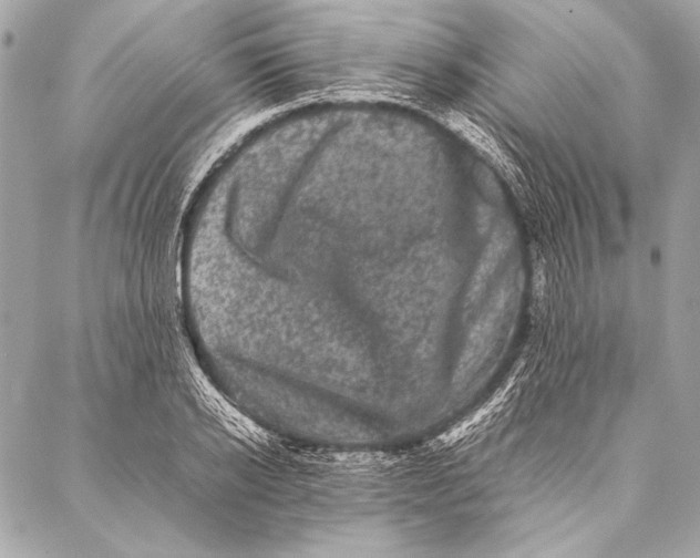 X0000087020934200705071506