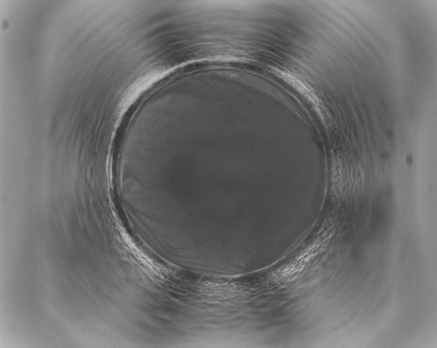 X0000087020935200705071506