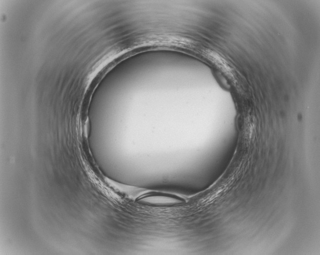 X0000087020936200705071506