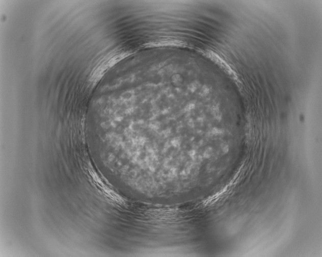 X0000087020937200705071506