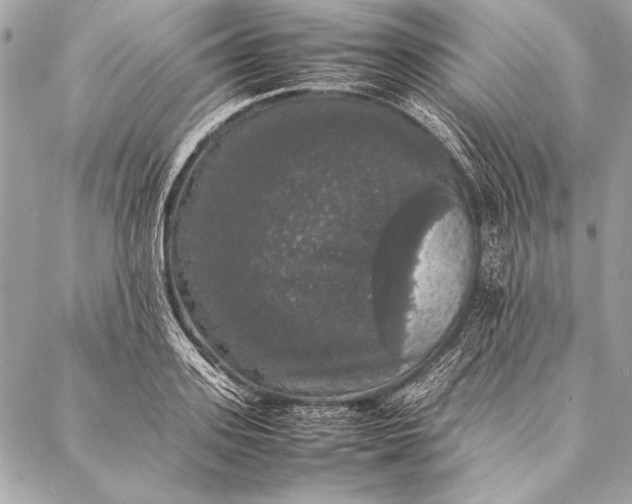 X0000087020939200705071506