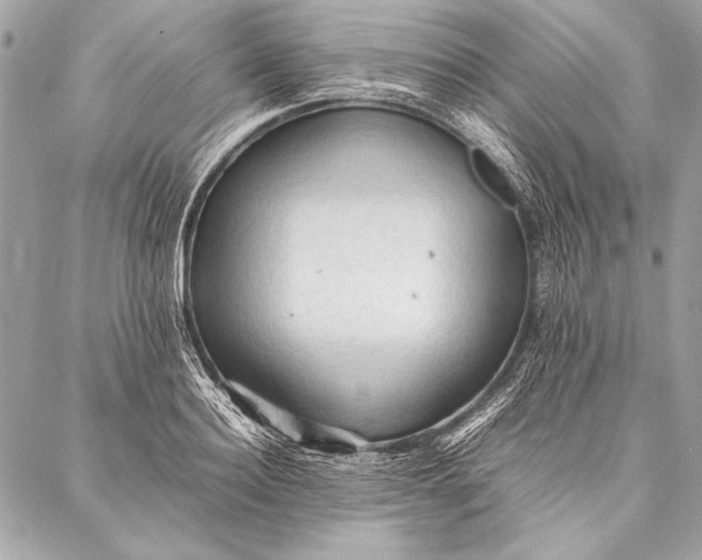 X0000087020940200705071506