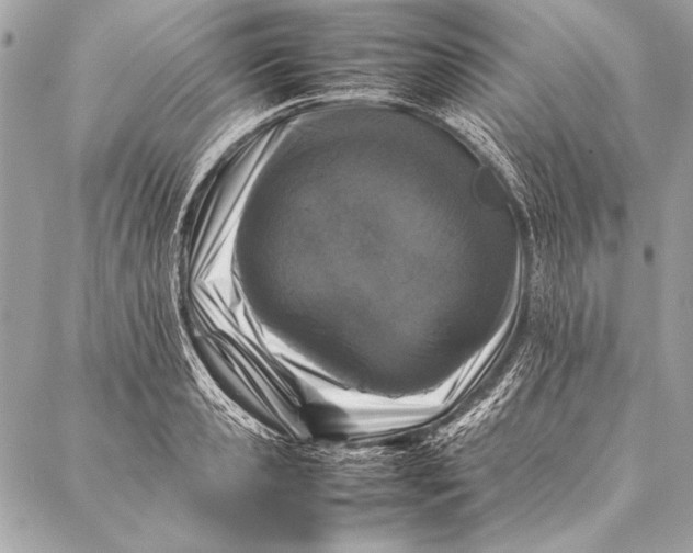 X0000087020941200705071506