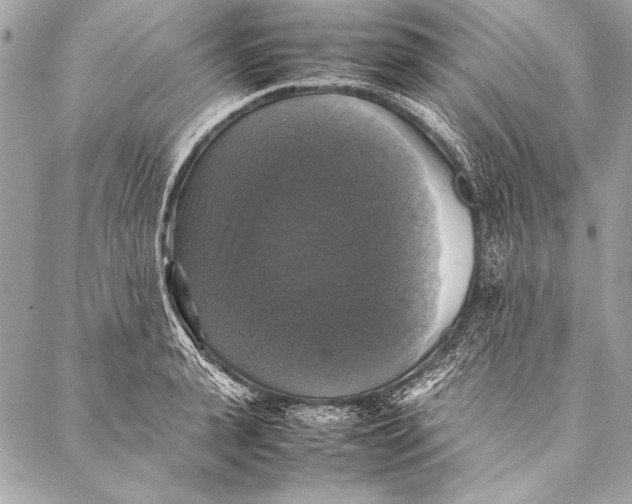 X0000087020943200705071506