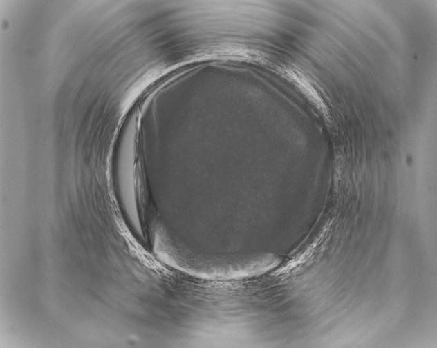 X0000087020944200705071506