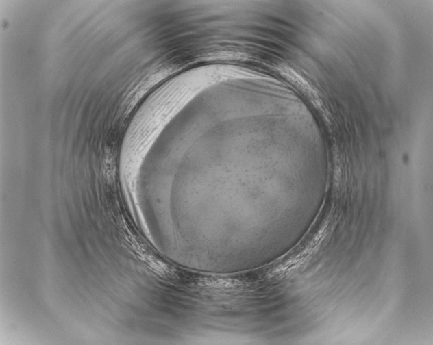 X0000087020945200705071506