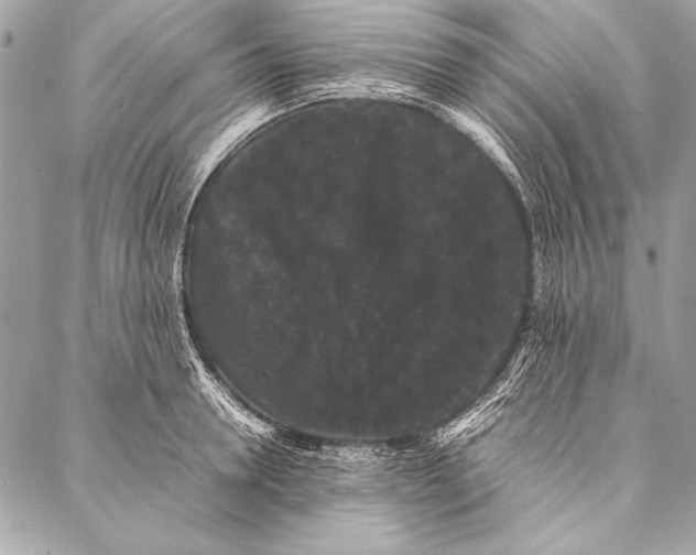 X0000087020946200705071506