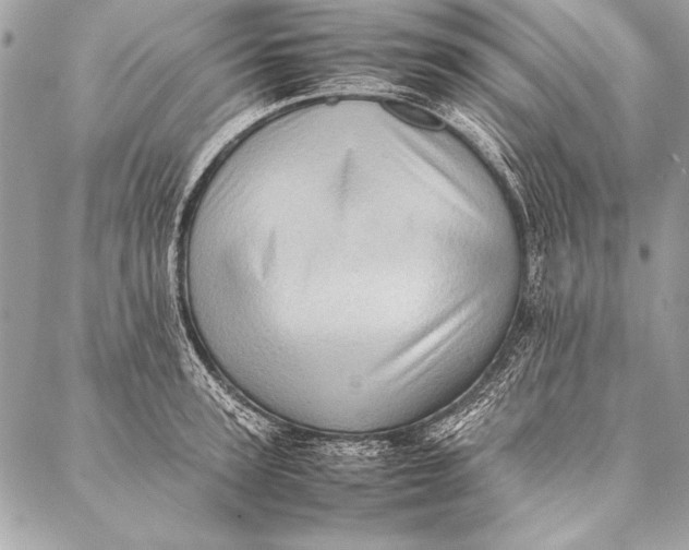 X0000087020947200705071506