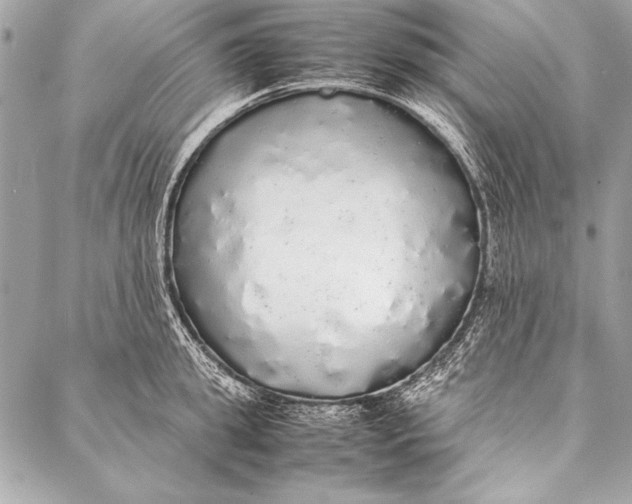 X0000087020949200705071506